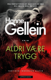 Never Safe Again av Hanne Gellein (Innbundet)
