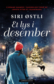 Omslag - Et lys i desember