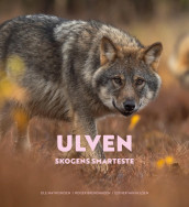 The Wolf av Roger Brendhagen og Ole Mathismoen (Innbundet)